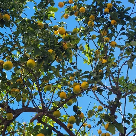 My Place Bed and Breakfast